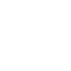 Friday Joshua's logo